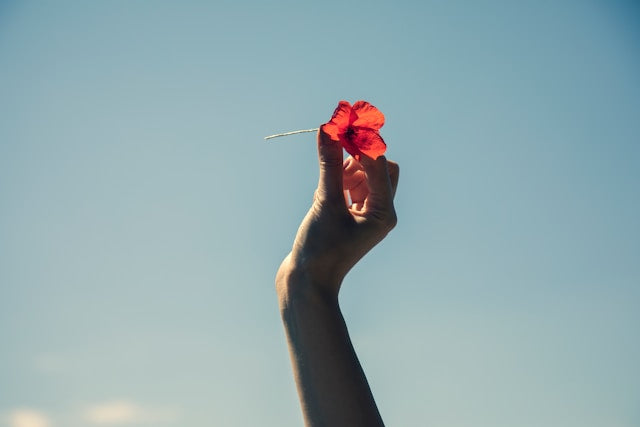 青空を前に赤い薔薇を手にする人